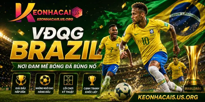 Giới thiệu về VĐQG Brazil