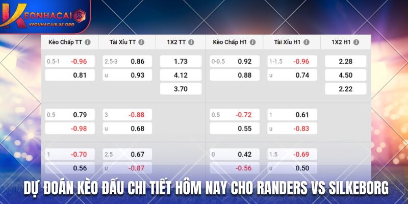 Dự đoán kèo đấu chi tiết hôm nay cho Randers vs Silkeborg